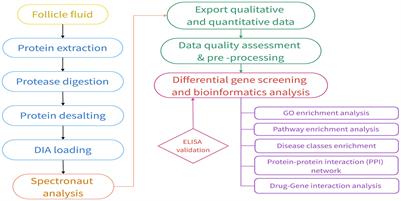 Proteomics profiling reveals lipid metabolism abnormalities during oogenesis in unexplained recurrent pregnancy loss